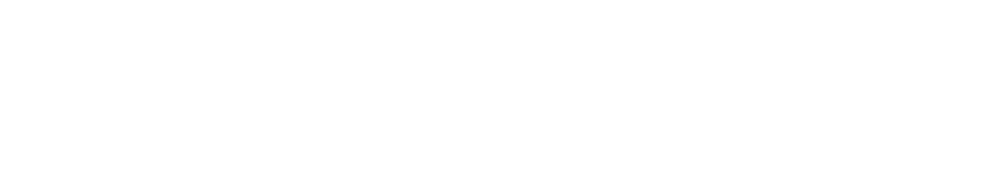 Skyroot Aerospace