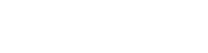 Swiss Armed Forces